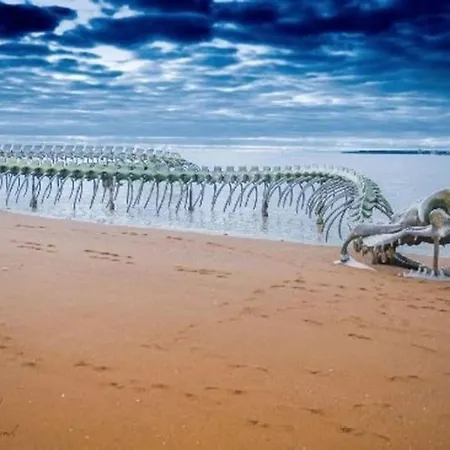 Apartman Bel Vue Brevin Les Pins