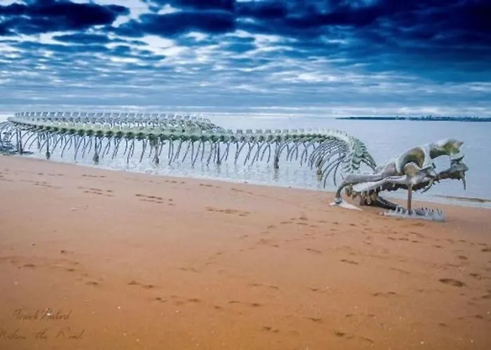 Lejlighed Bel Vue Brevin Les Pins